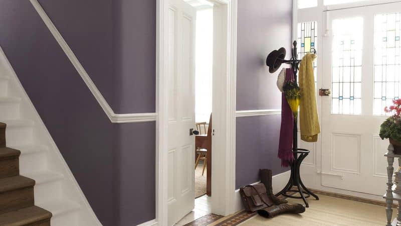 Dark Purple