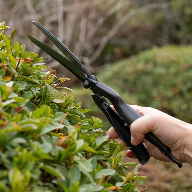 Garden Scissors