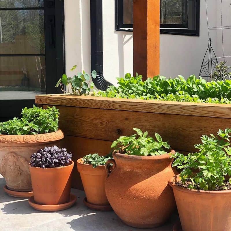 Gardening for Produce