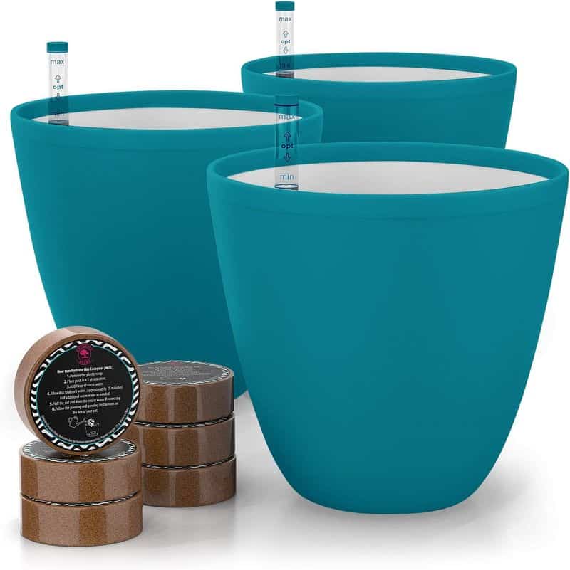 Gardenix Decor Self-Watering Planters (3-Pack)