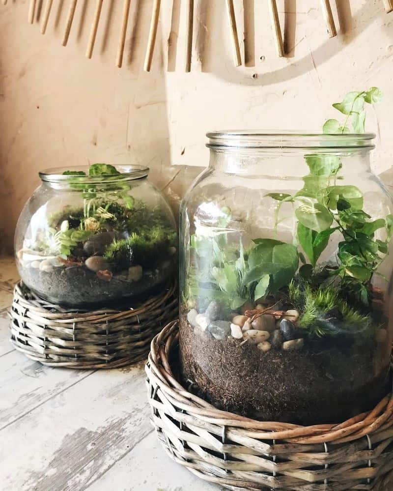 Glass Jars