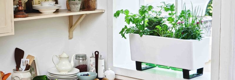 Glowpear Self-Watering Planter