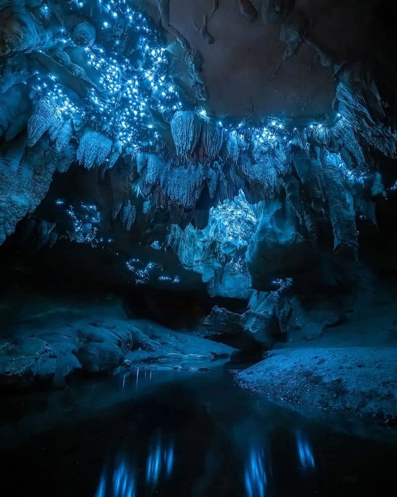 Glowworm Caves, New Zealand