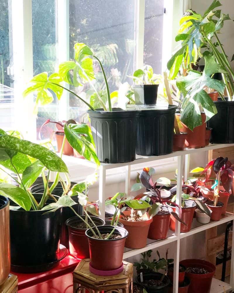 Greenhouse Retreat