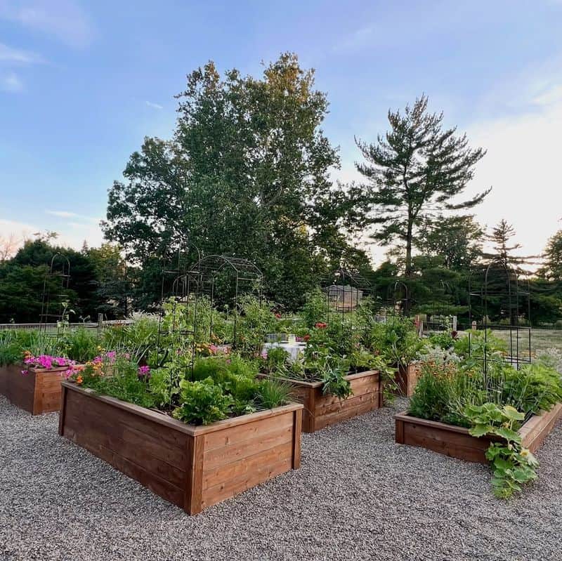 Herb and Vegetable Garden