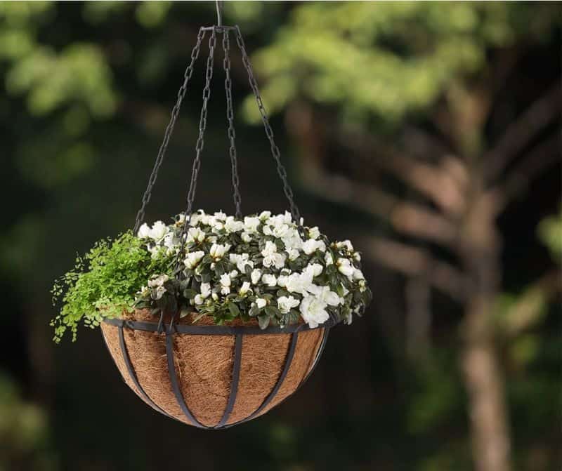 Hanging Basket Planters