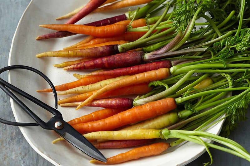 Store Properly After Harvest