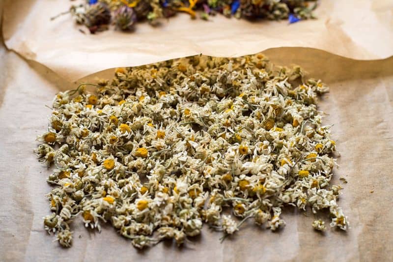 Dry Chamomile Properly
