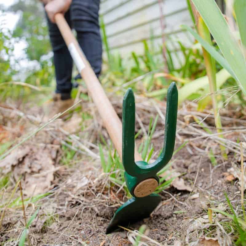 Hoes and Cultivators