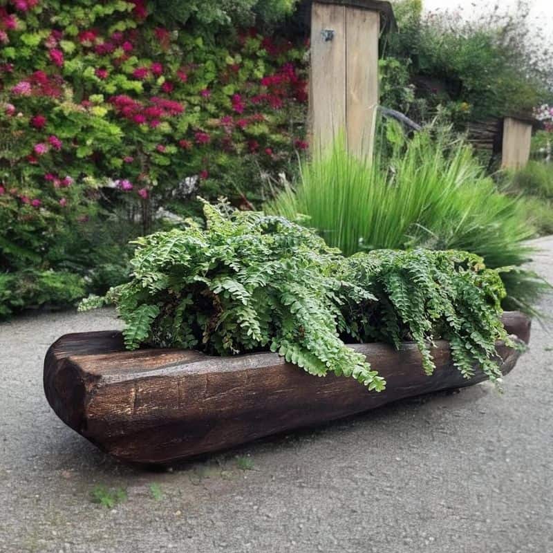 Hollowed Logs