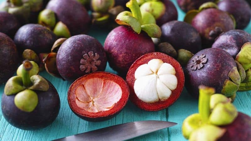 Mangosteen