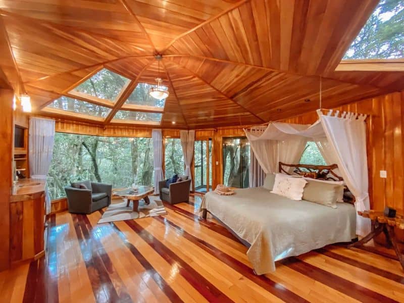 Treehouse Adventure Suite