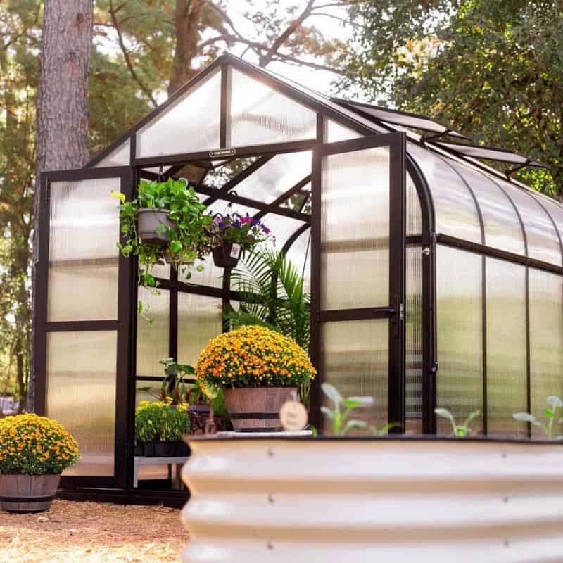 Illegal Greenhouses
