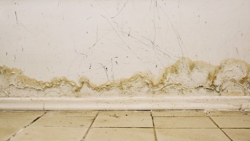 Impact of Poor Drainage