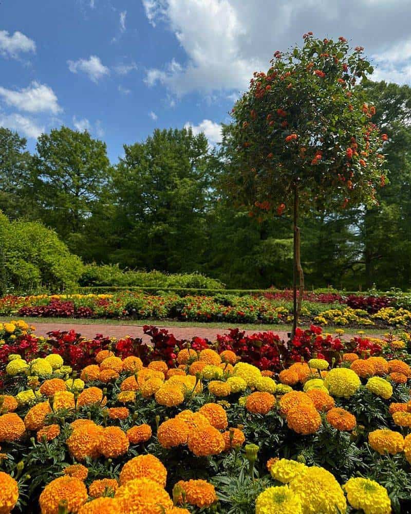 Incorporate Color and Fragrance