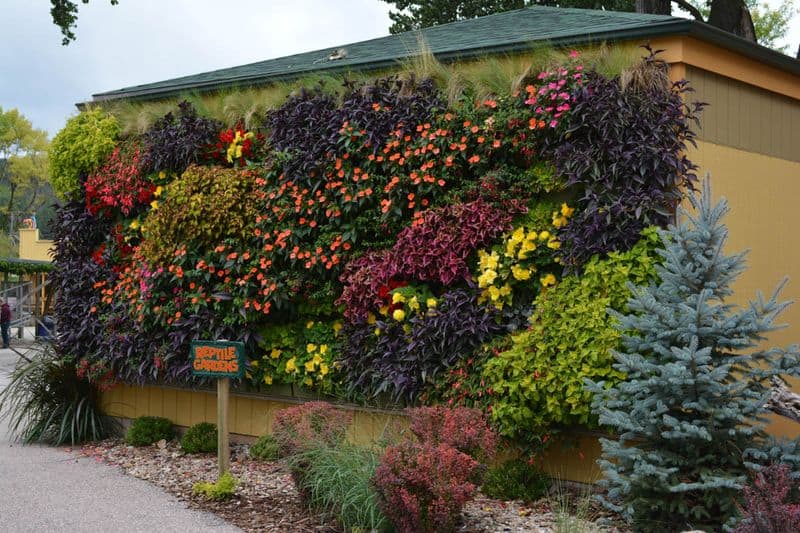 Use Vertical Planters