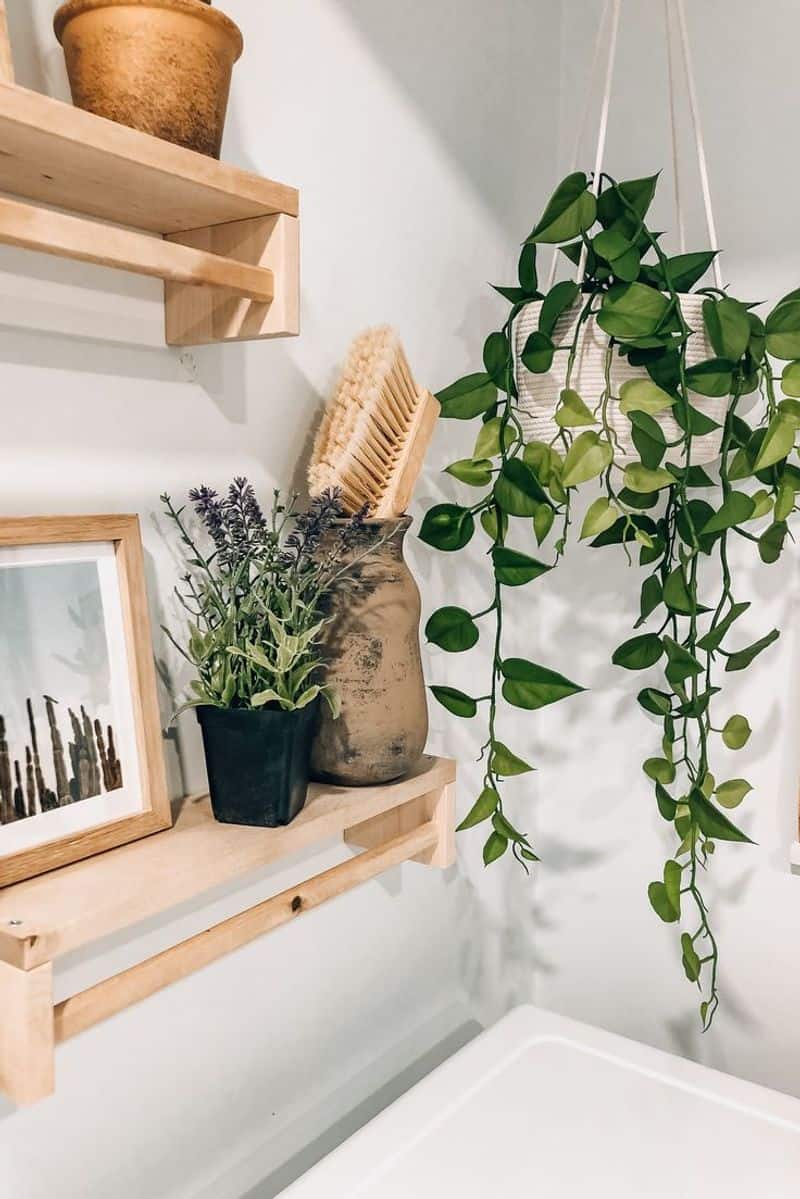 Incorporate Natural Elements