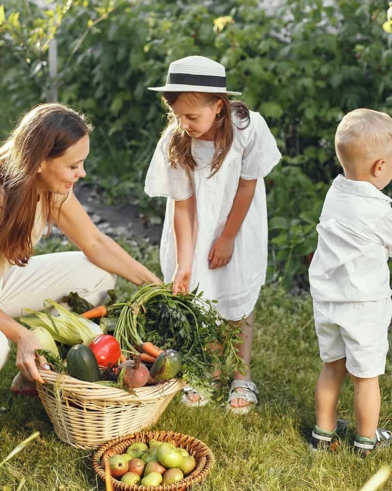 Incorporate Outdoor Learning