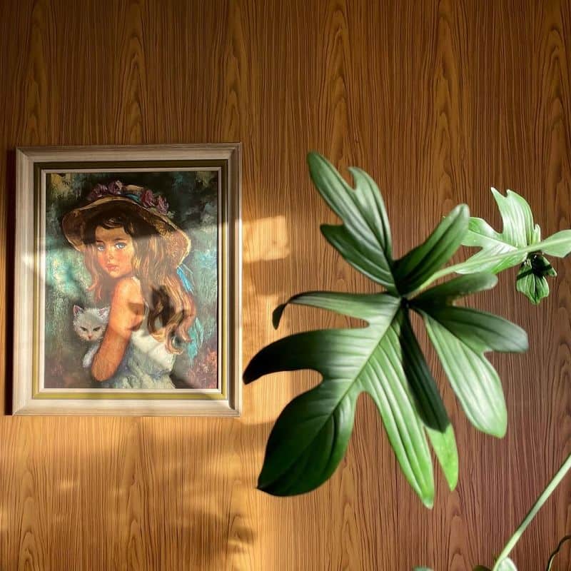Incorporate Plants
