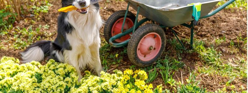 Use Animal-Friendly Fertilizers
