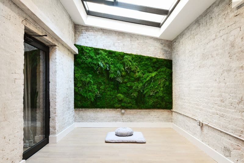 Biophilic Connection