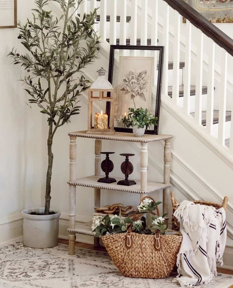 Indoor Plants