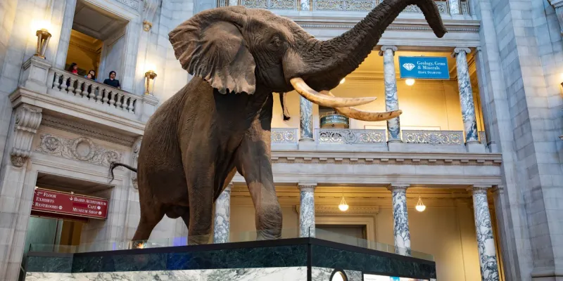 Fascinating Exhibits