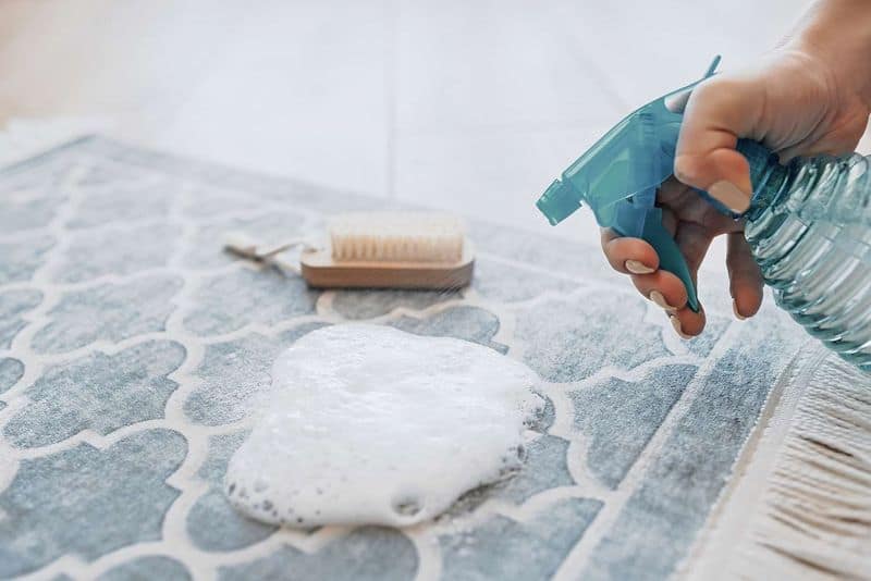 Pet Accident Cleaner