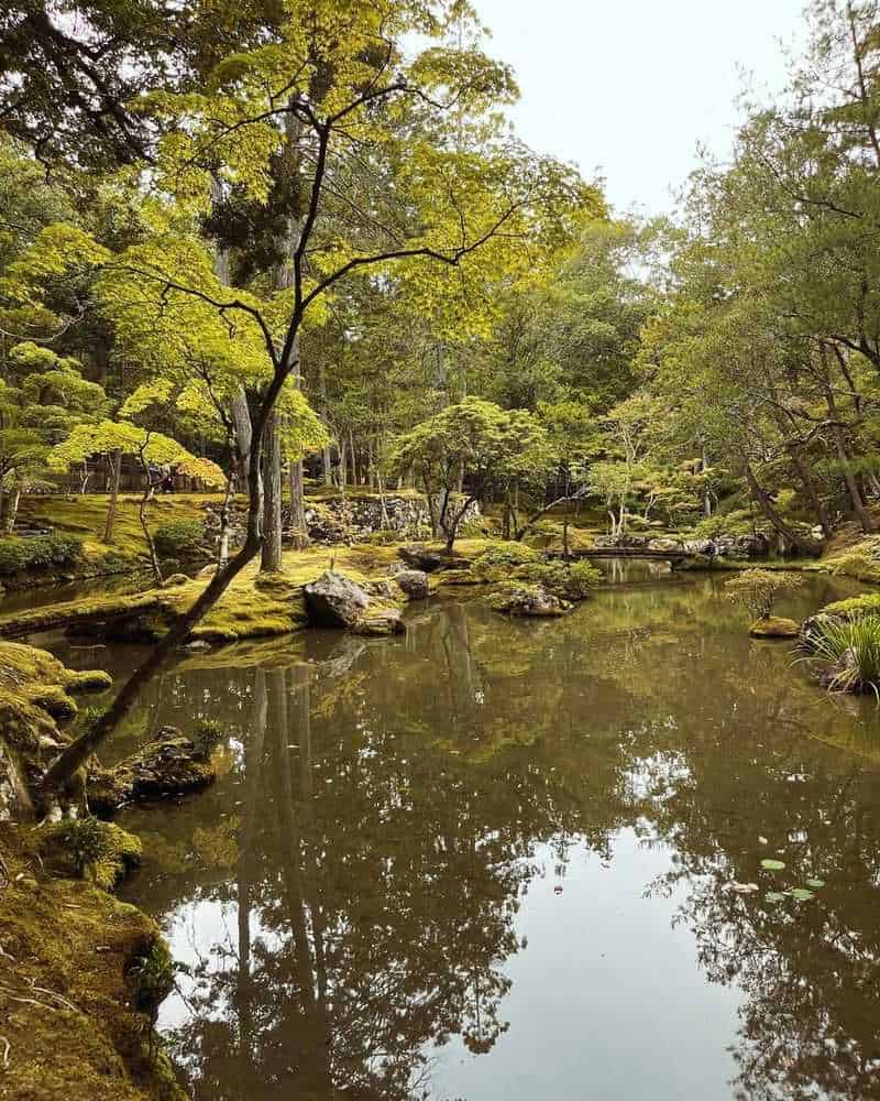 Kokedera (Moss Temple) Garden (Kyoto)