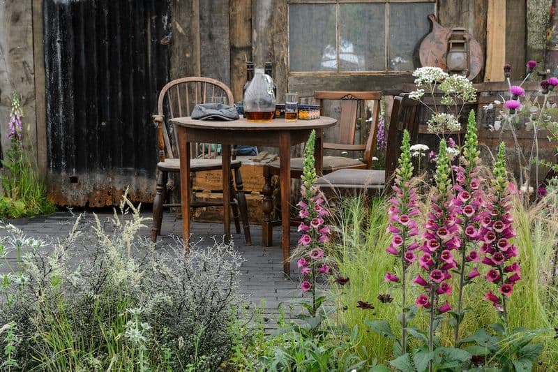 Foxglove