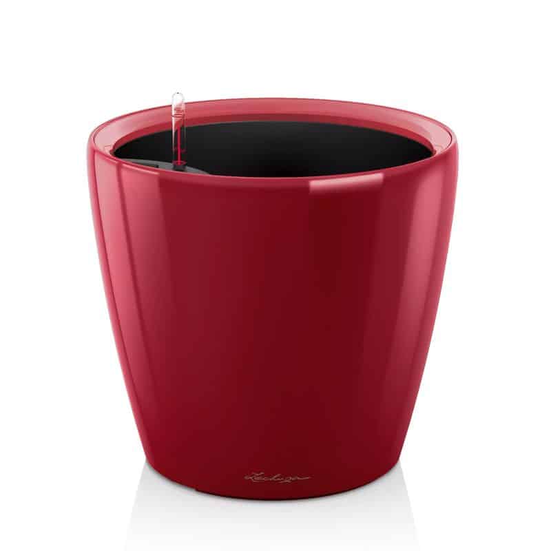 Lechuza Classico Self-Watering Planter