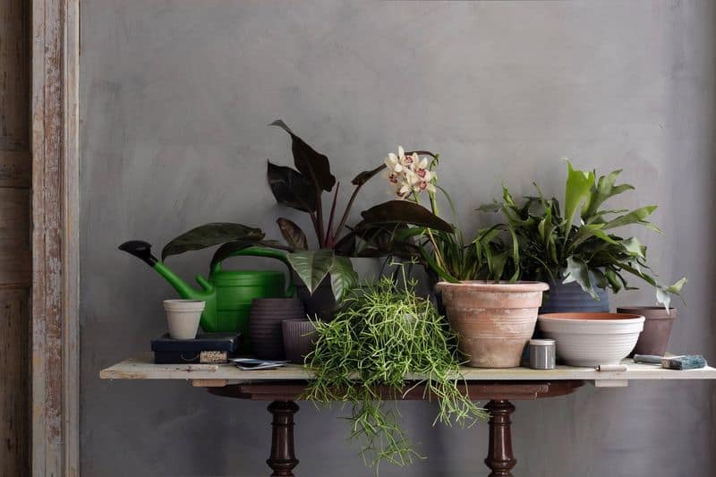 Limewashed Garden Planters