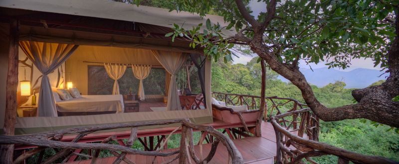 Jungle Safari Bungalow