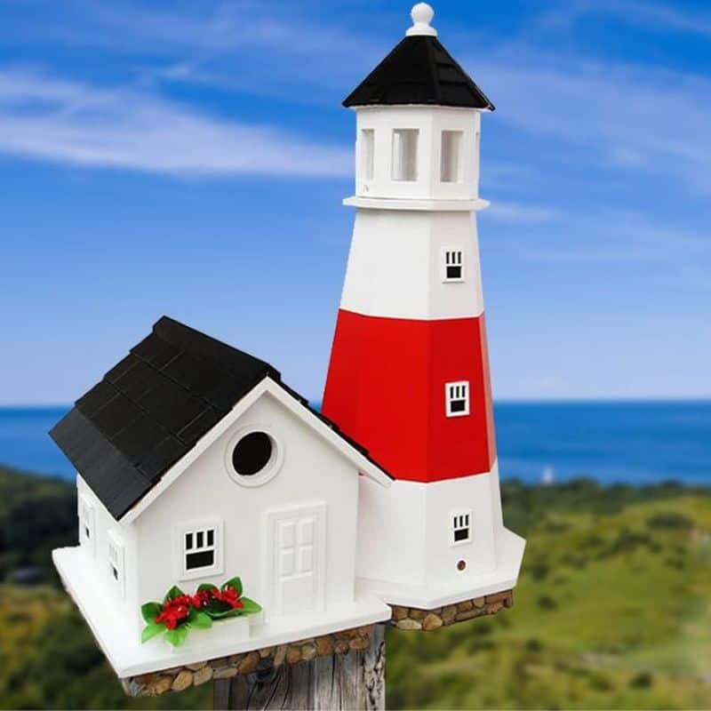 Coastal Lighthouse Perch
