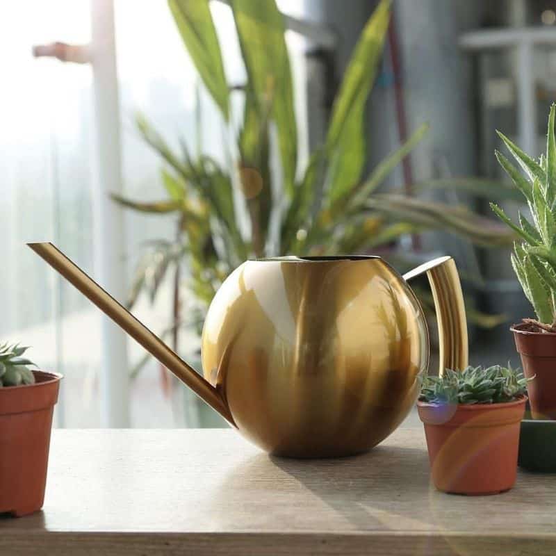 Metal Watering Cans