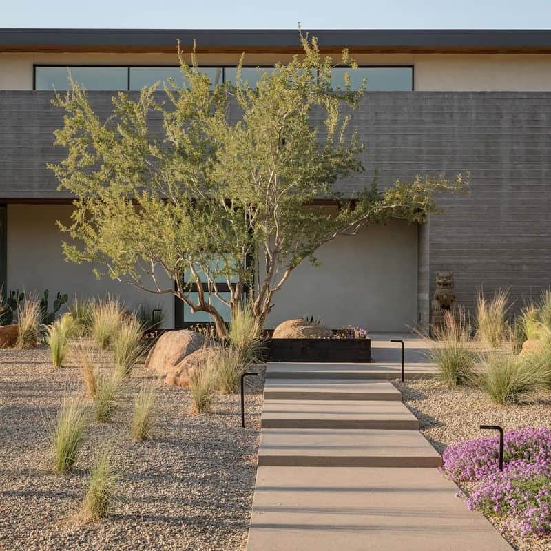 Minimalist Landscaping