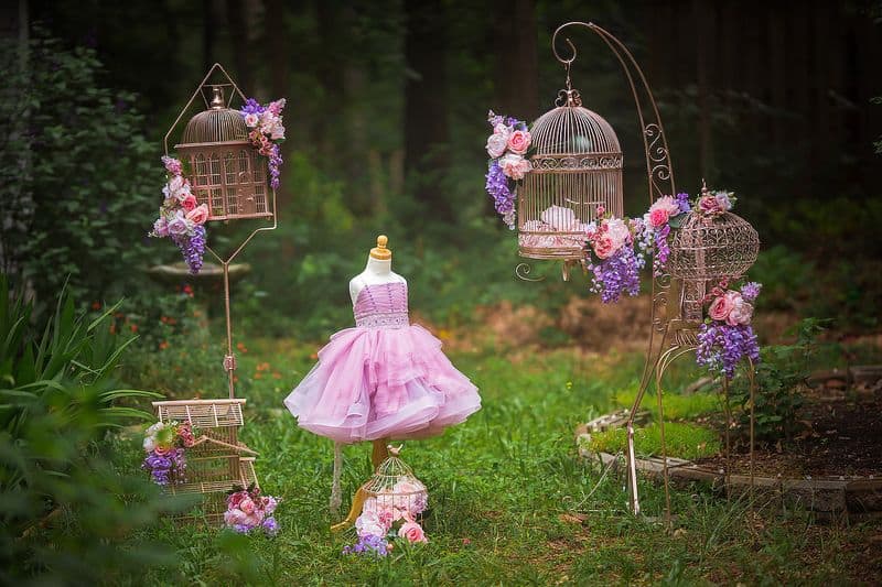 Antique Birdcages