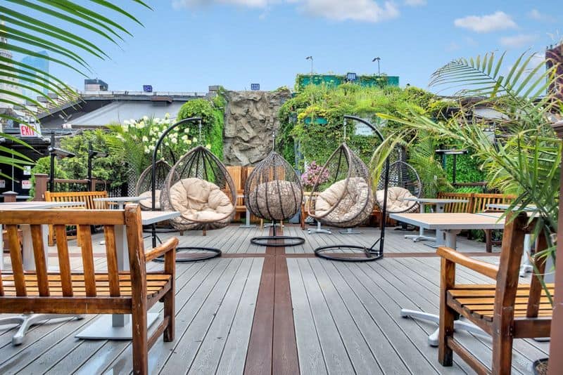 Tropical Paradise Rooftop