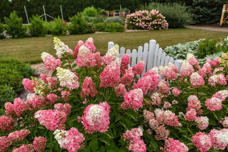 Mulching Benefits
