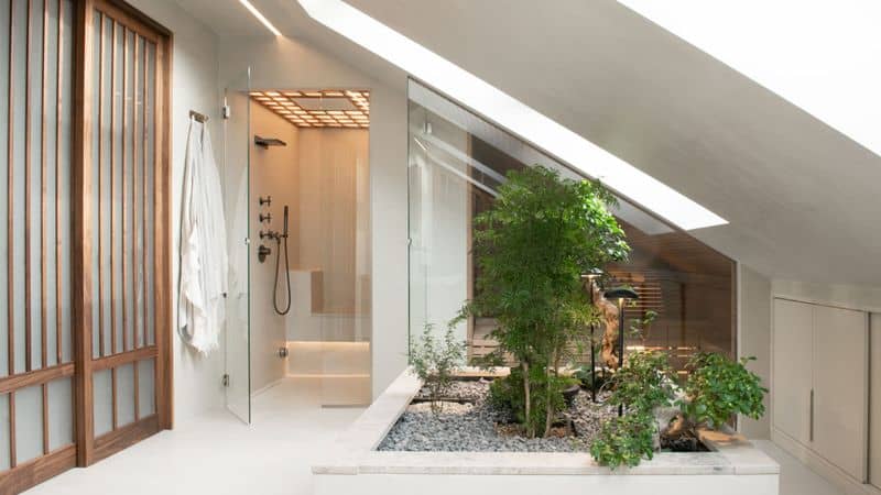 Plant Accents