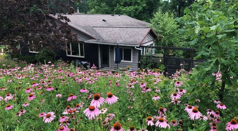 Neglect of Biodiversity