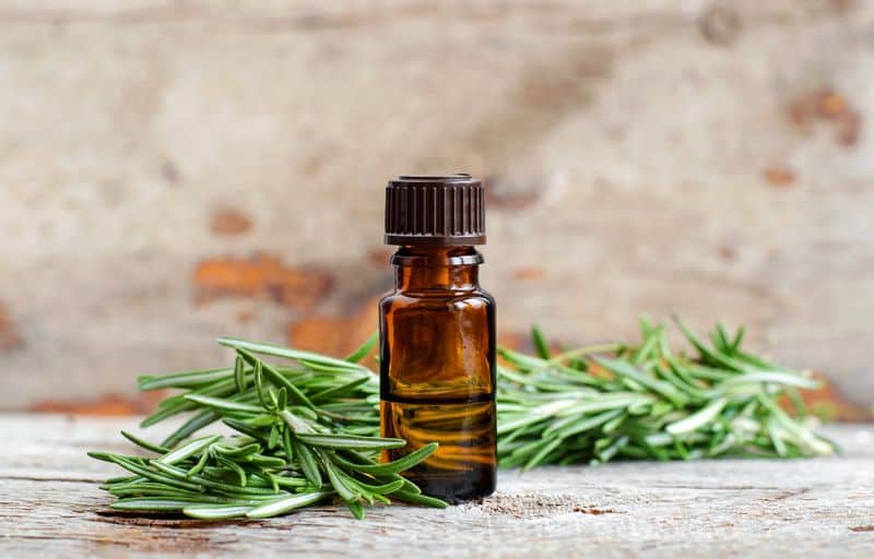 Rosemary Oil