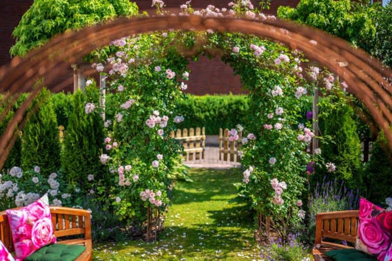 Enchanting Fairy Garden