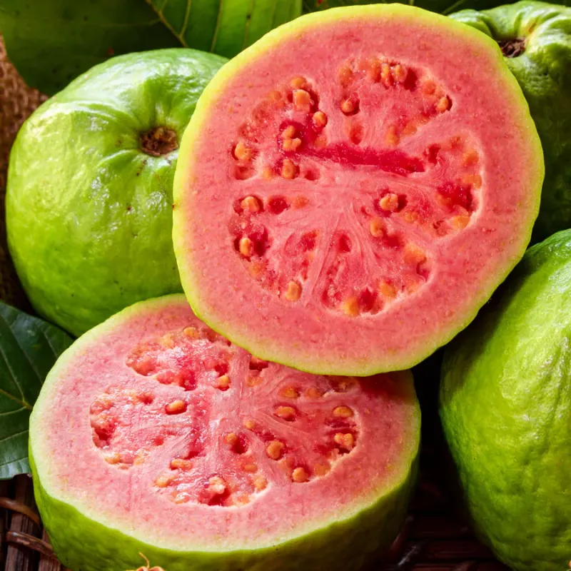 Guava