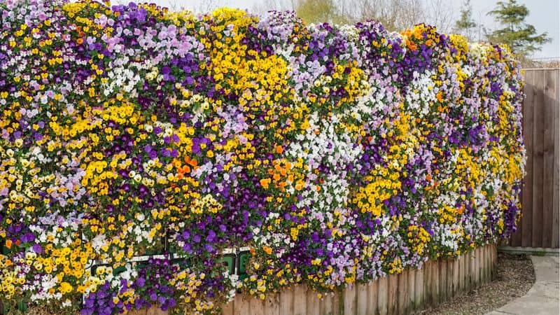 Select Quality Soil