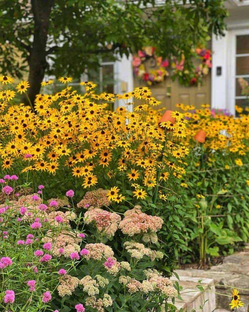 Plan for Continuous Bloom