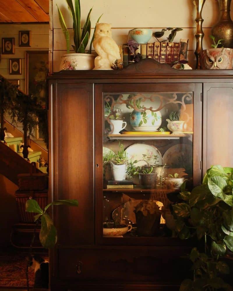 Plant Habitat