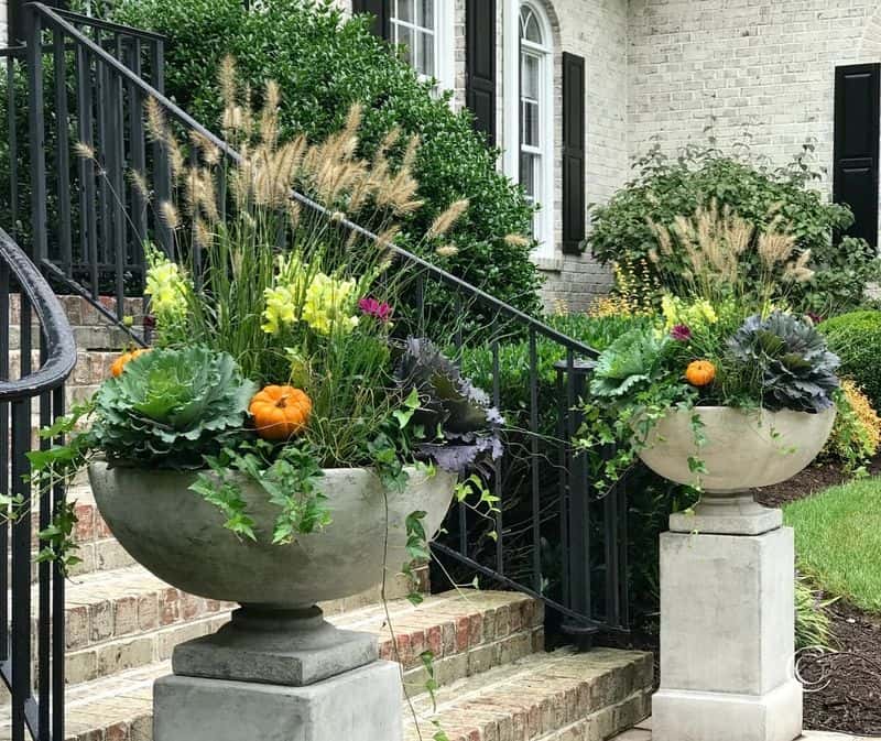 Plant Protection