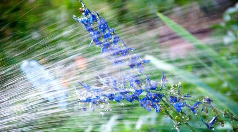 Water Consistently