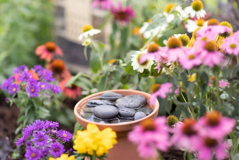 Pollinator Haven